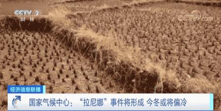 凛冬将至咋样,凛冬将至怎么过