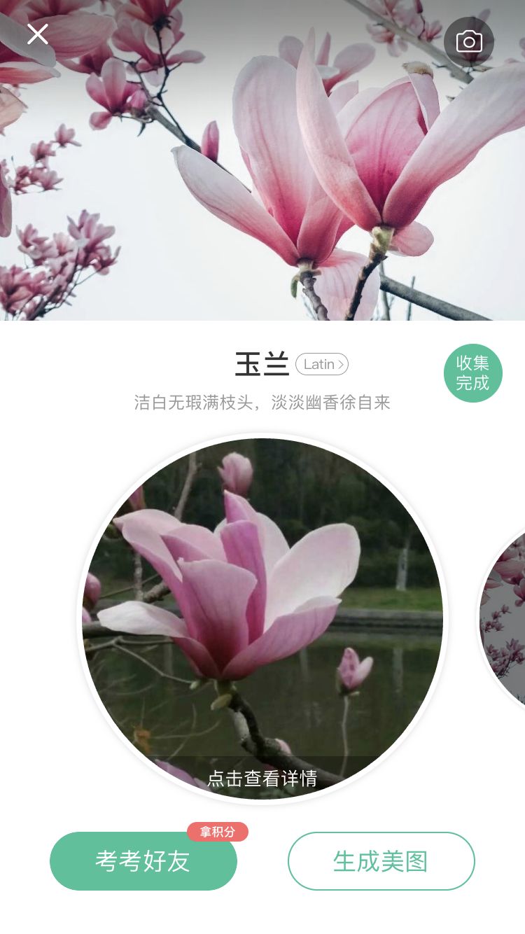 哪个识花软件最好用,识花app免费的哪个好