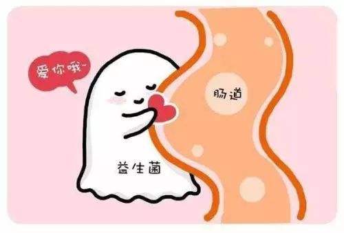 婴儿可以放心喝的益生菌饮料,宝妈禁用成分有哪些东西