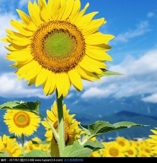 如果一个人想创业该怎么做,如果要跟朋友创业的话该注意什么