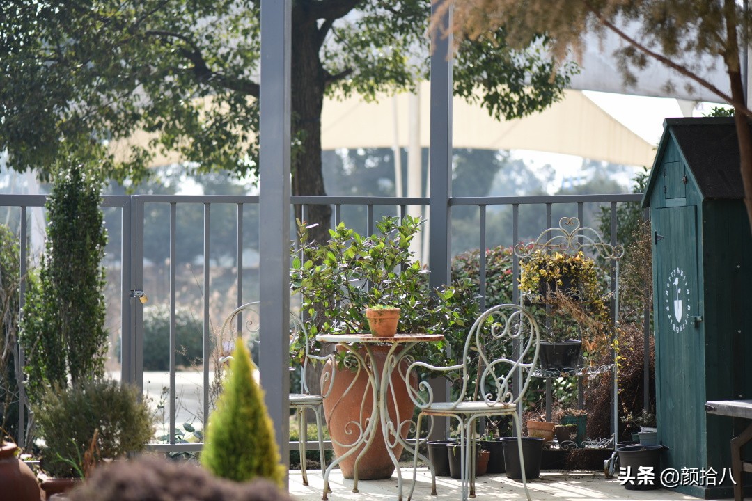 就趁现在，花园最忙碌的季节|园丁