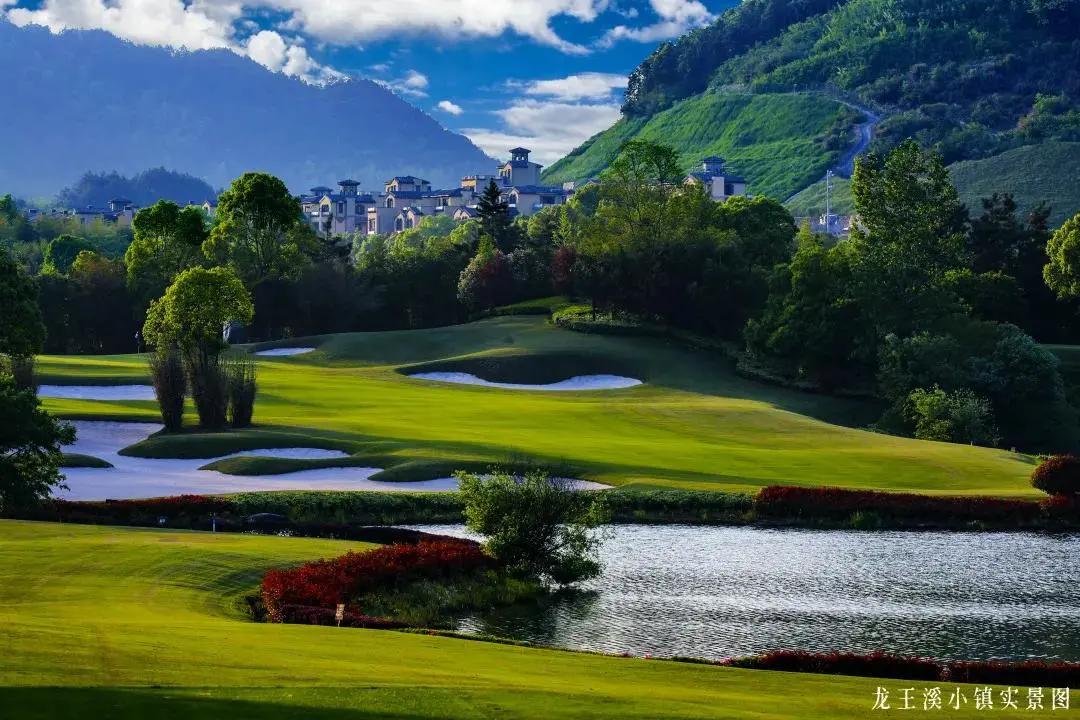 绿城龙王溪小镇房价多少钱,绿城龙王溪小镇楼盘