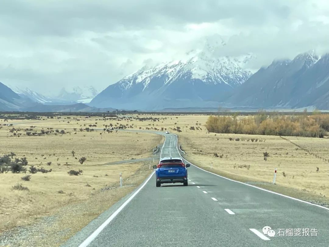 旅行7天,新西兰霍比特人村游记