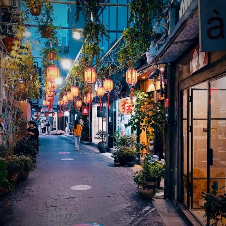 上海景区免费景点,生日当天上海免费景点