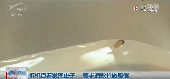 饮水机里全是蟑螂,饮水机里有蟑螂的处理方法