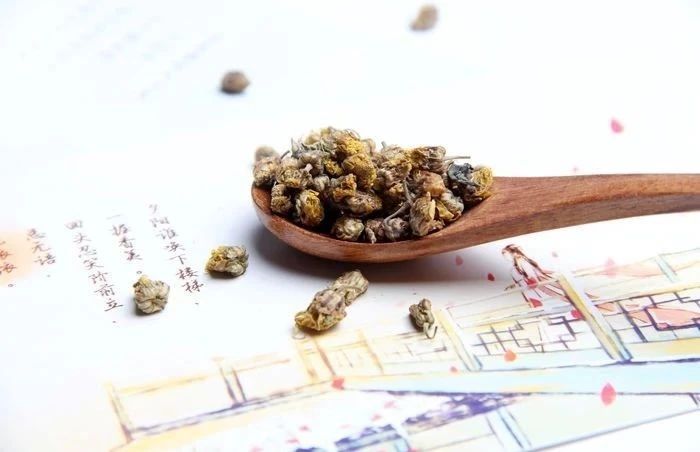 野菊花的四种用途,野菊花的好处和坏处