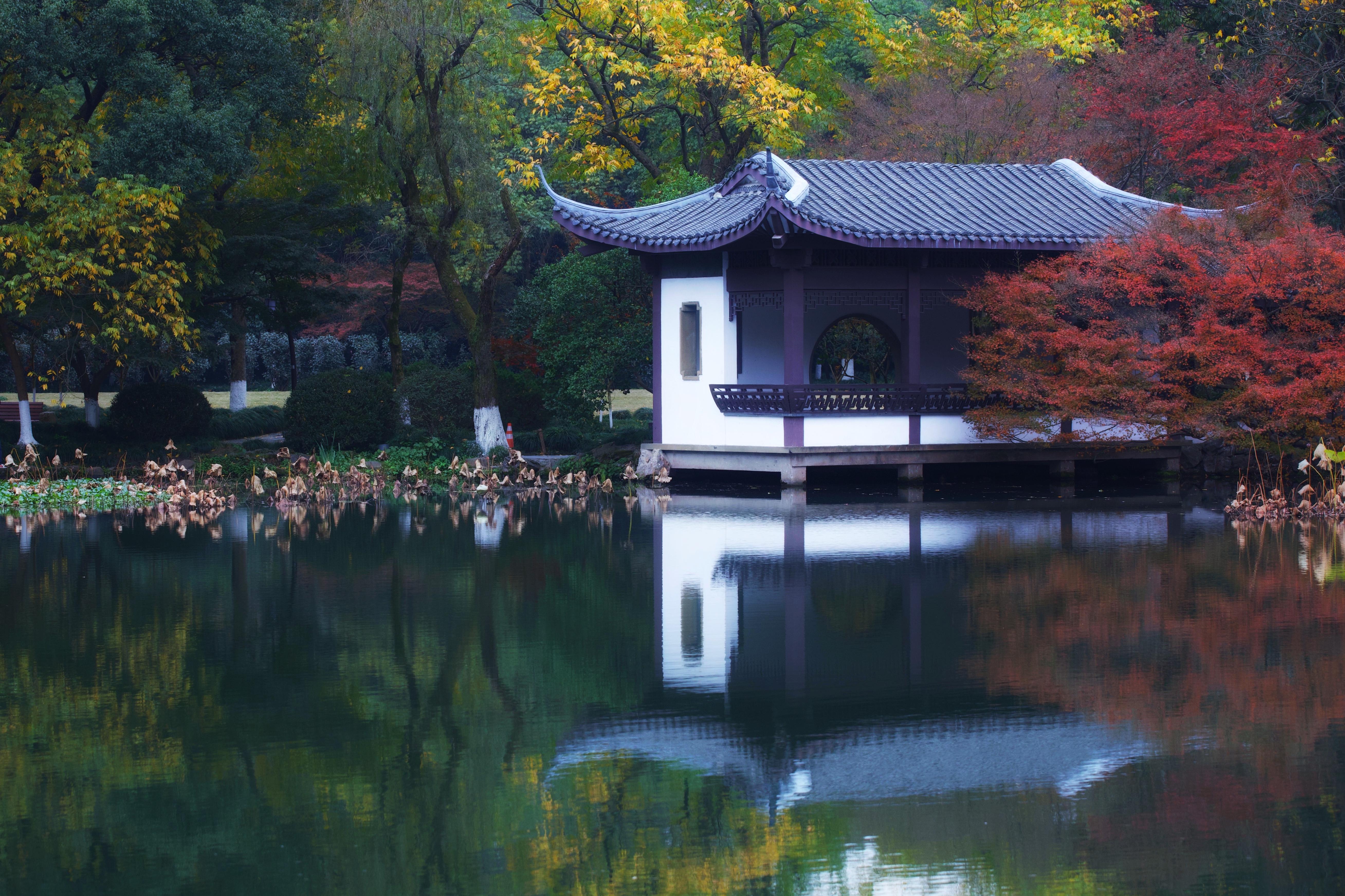 飞行2万公里，足迹10个城市——2020我的手机摄影之旅