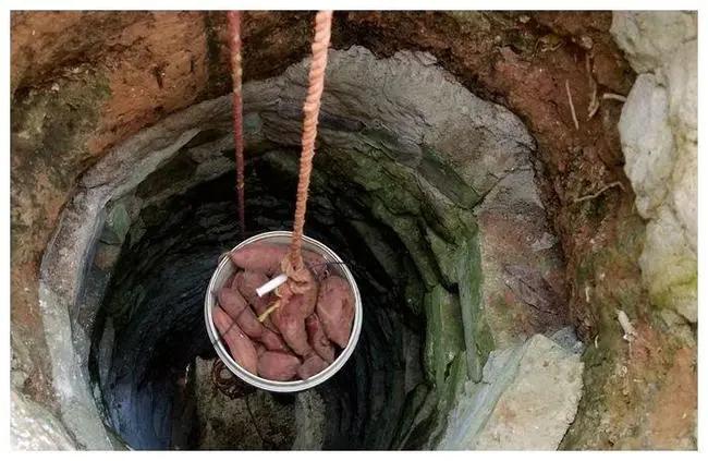 一场批斗赌徒大会