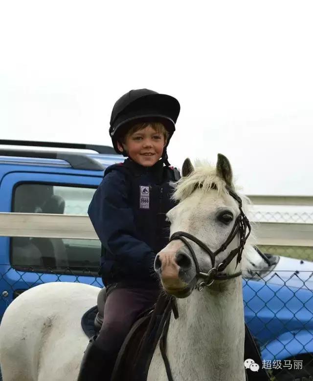 欧洲马术夏令营,草原马术夏令营