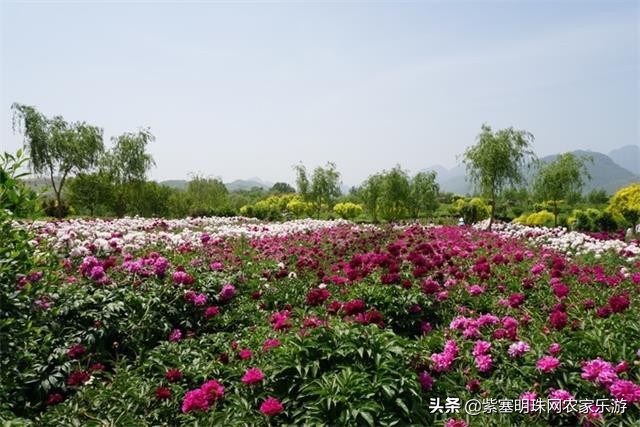 全靠8根钢柱支撑的玻璃栈道你敢挑战吗？保定狼牙山泽疆公寓酒店