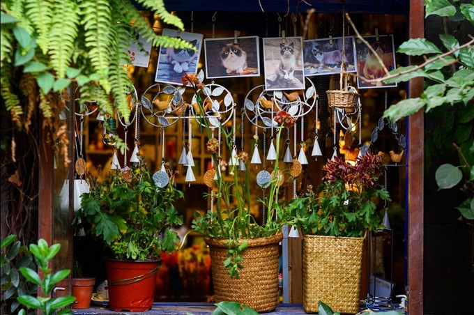 在工业气息下寻找小文艺，带你重新认识雾都重庆