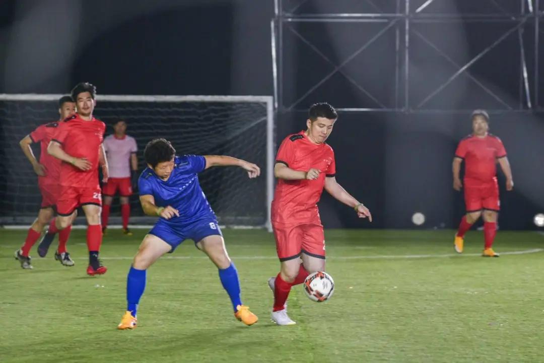 范志毅与杨晨帆,范志毅2023欧洲杯