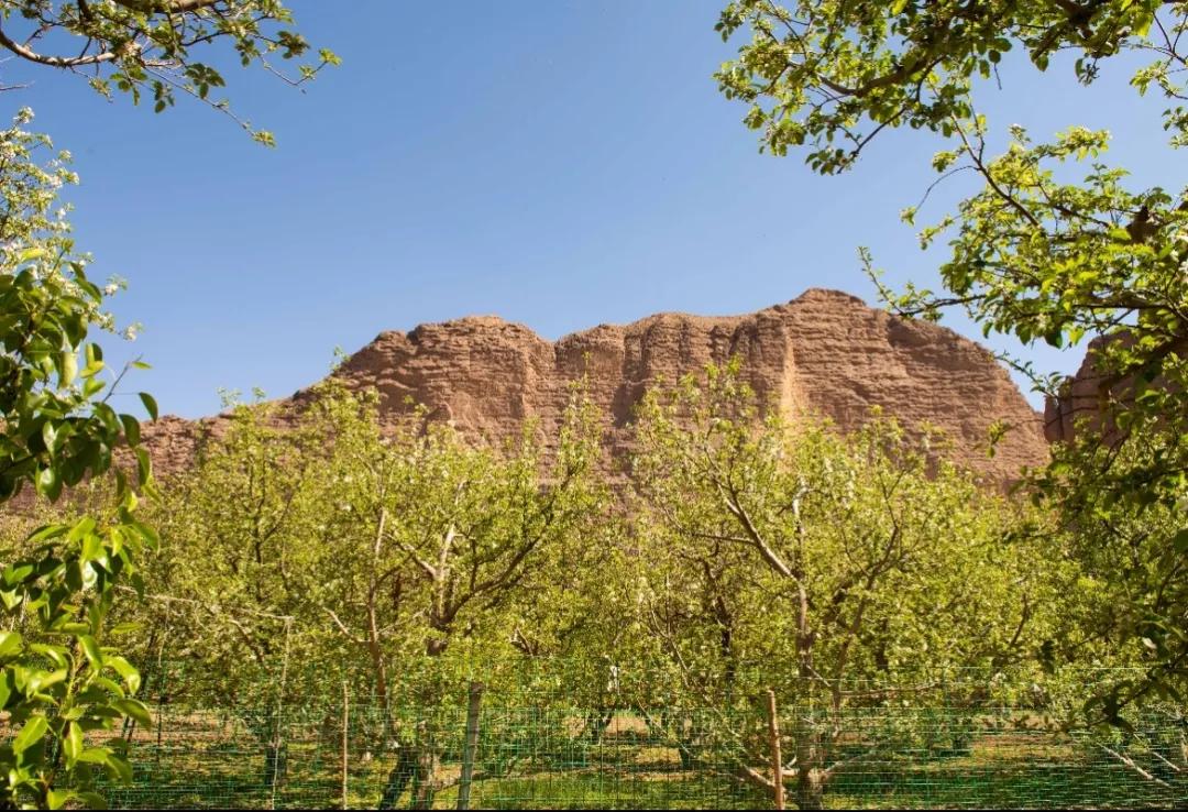 住最静的酒店，看最美的景！只因在黄河石林~