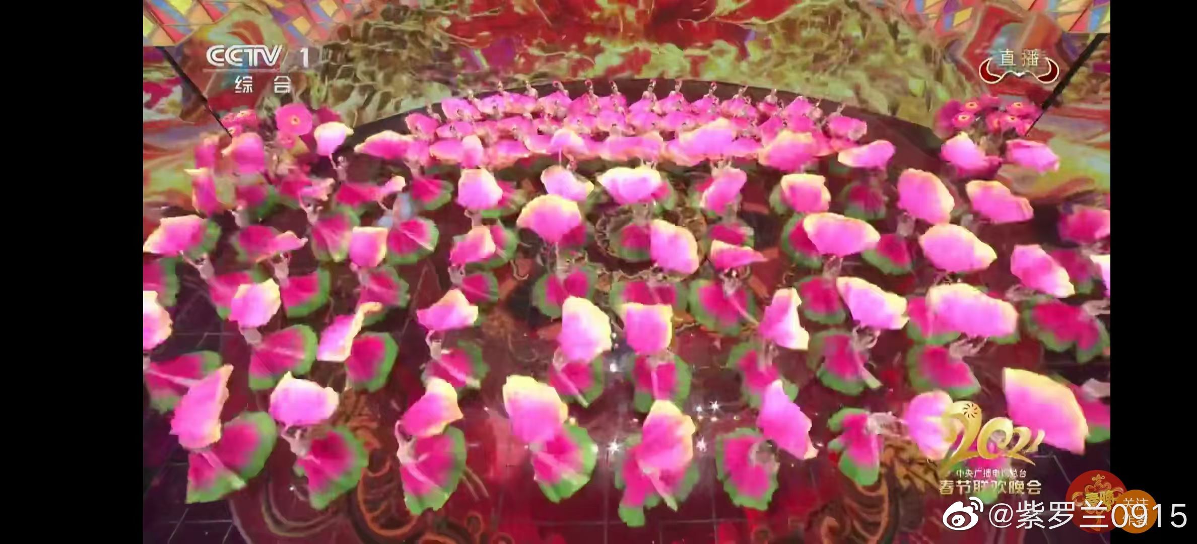 贾玲历年春晚回顾,贾玲春晚表情包动图