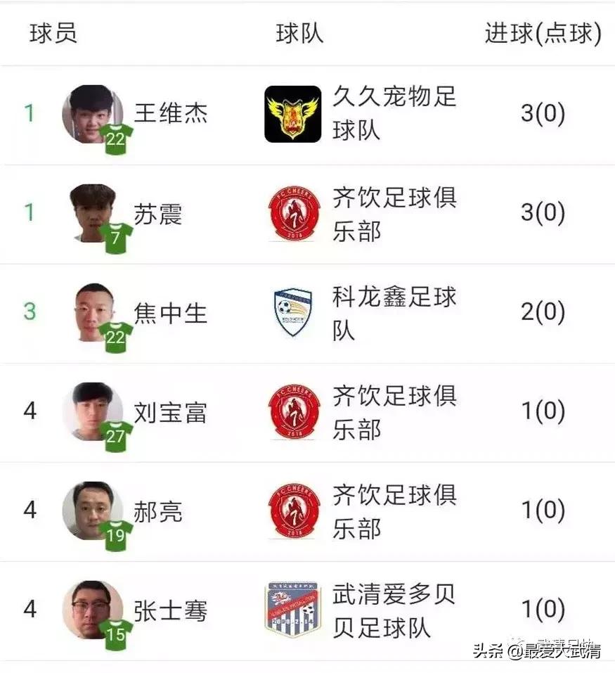 2024龙湖杯足球赛直播,武清龙湖春江足球联赛