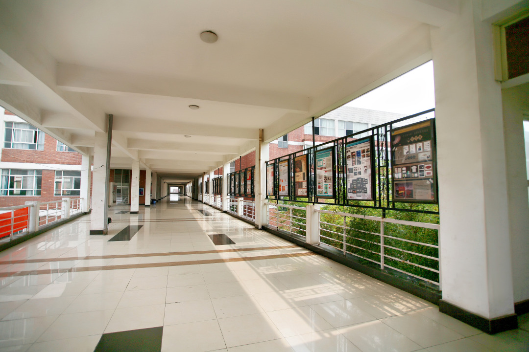 武汉大学梦想,高职扩招圆大学梦