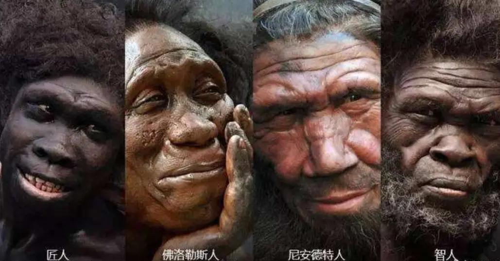 代言版《定位》01：品类的诞生