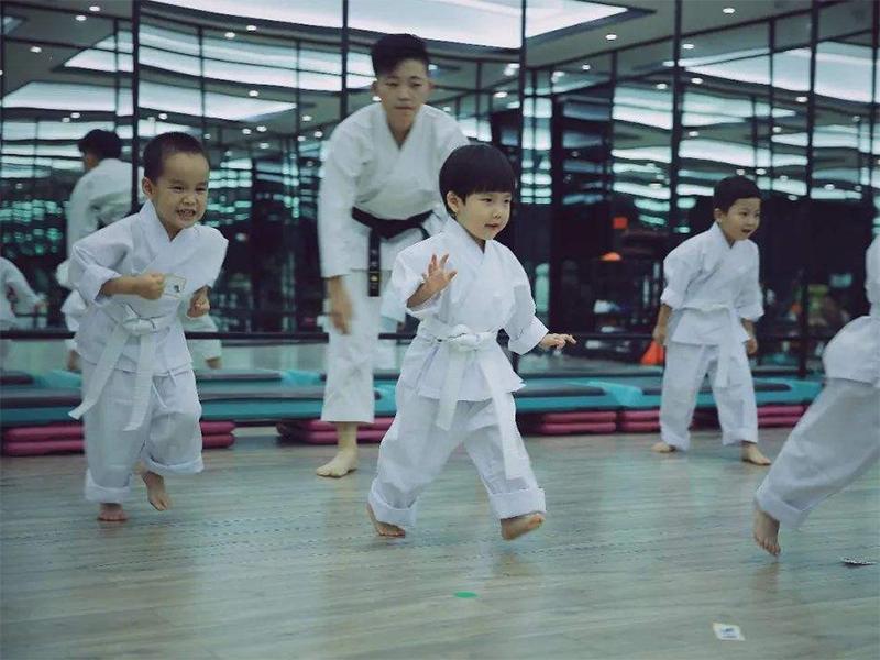 中国好的空手道训练机构,空手道培训学校好做吗