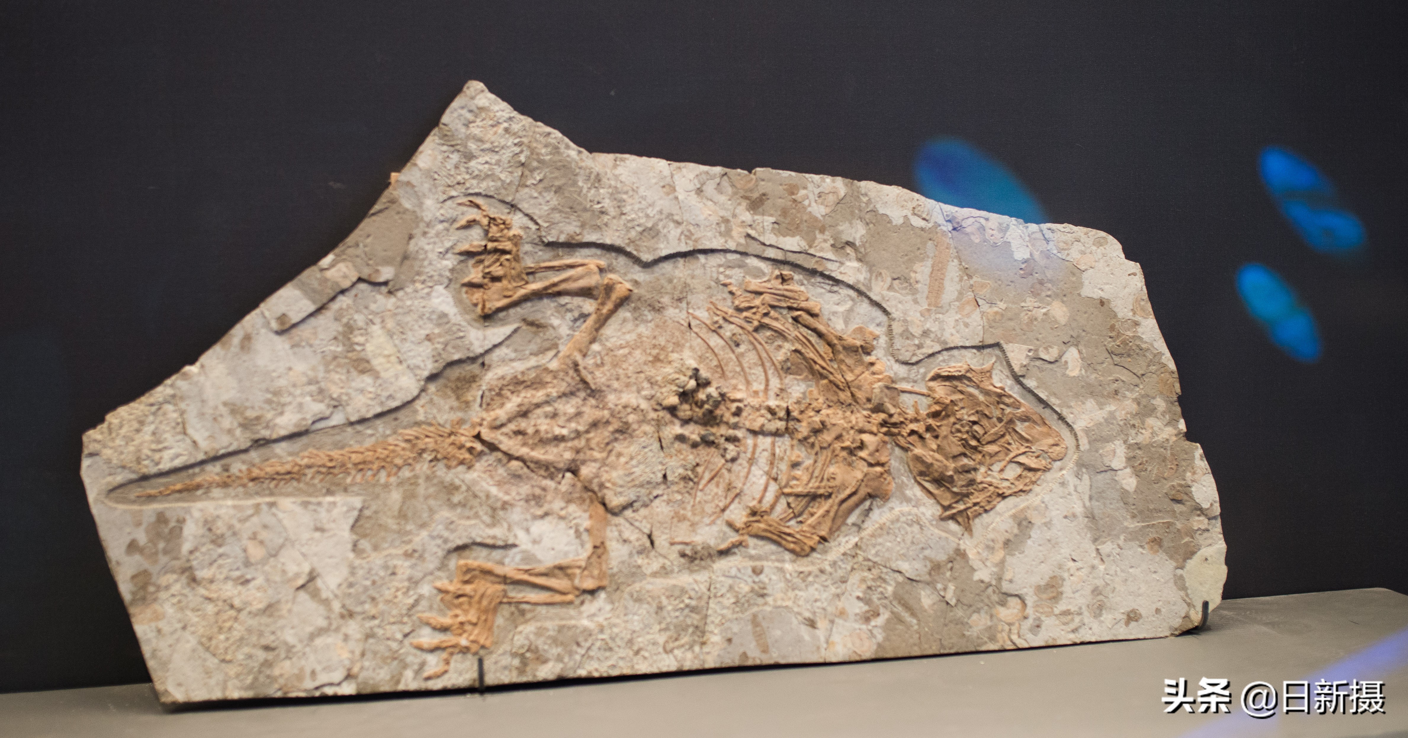 国家海洋博物馆之行,国家海洋博物馆蓝色海洋体验馆