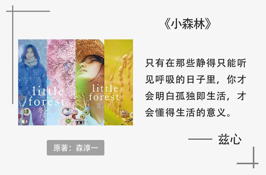 小森林治愈自己,小森林治愈歌