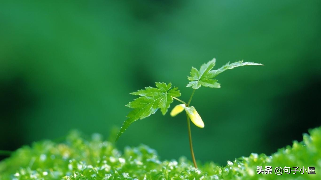 100个成语及历史人物,国人需要知晓的100个历史成语