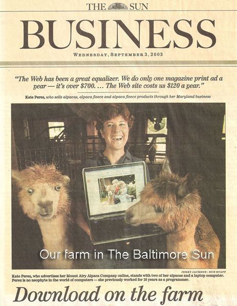 今天我们来聊聊英语的英文,今天我们来聊一聊