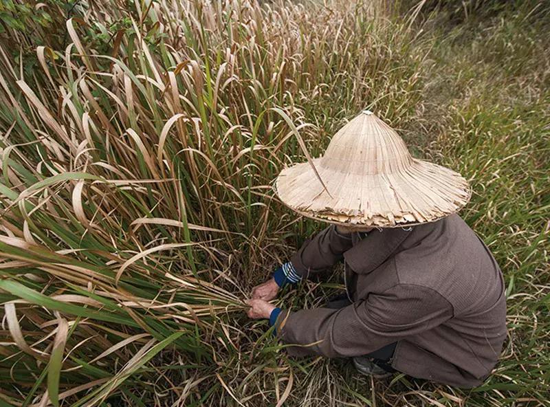 我爸我妈的爱情故事,我爸我妈完整版原唱