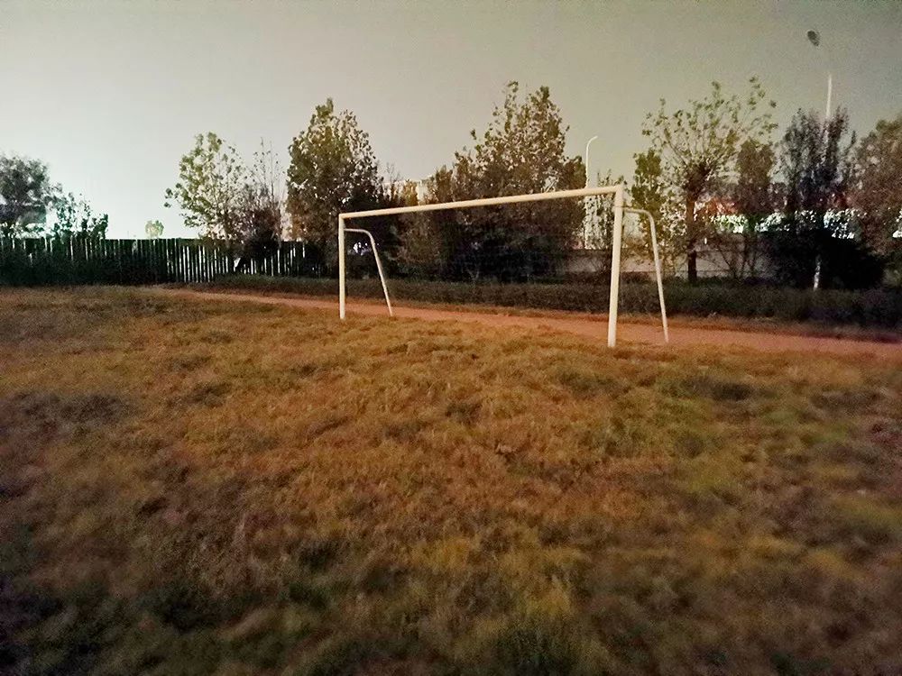 郏县体育场有啥玩的,郏县鸟巢体育馆