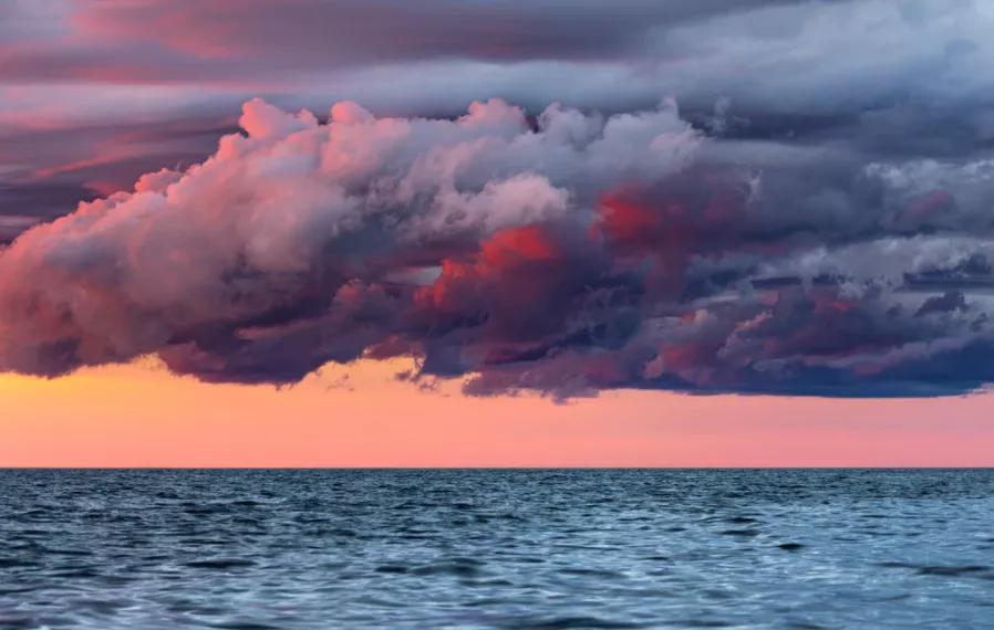 网校高起专,网校发展前景