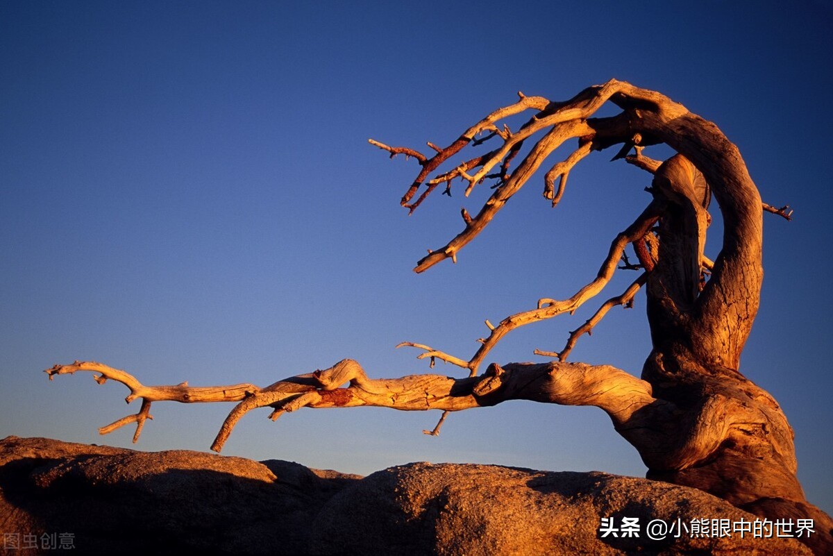 罪恶之城小说词条,罪恶之城知乎