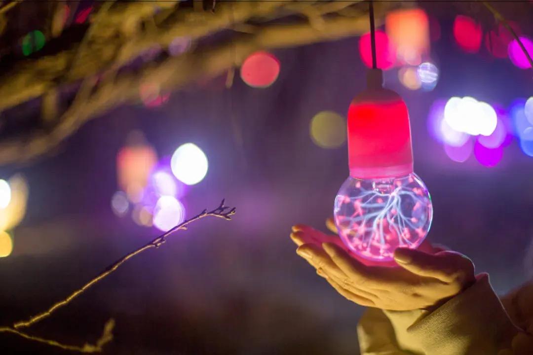 熊猫来永庆坊,鹰潭大熊猫