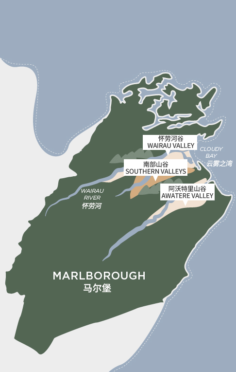 马尔堡黑皮诺,马尔堡生机勃勃长相思葡萄酒