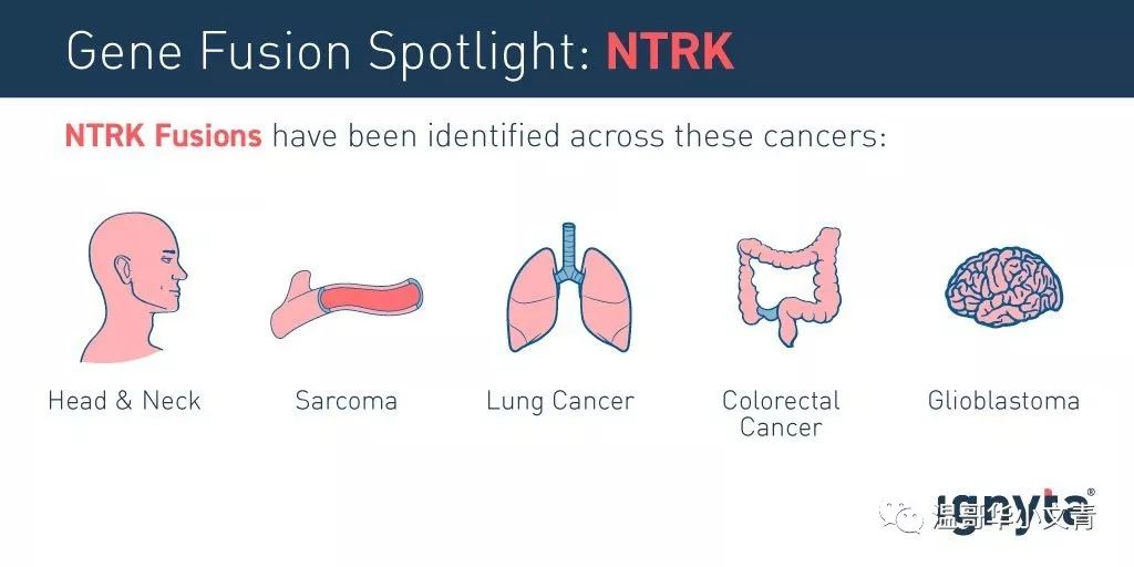 甲状腺癌进口抗癌药,2023年上市的抗癌药物针对什么癌
