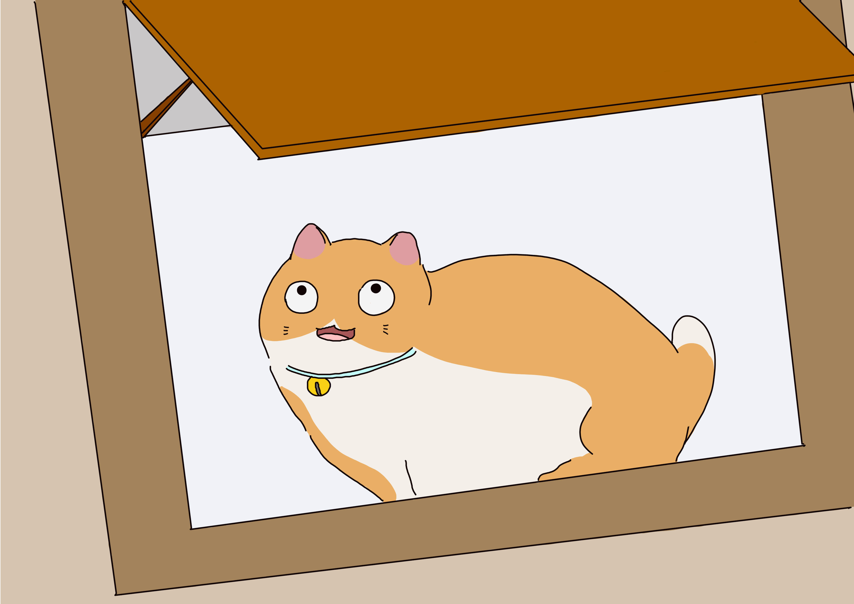 猫长期驱赶最好的方法,猫长期舒缓情绪的东西