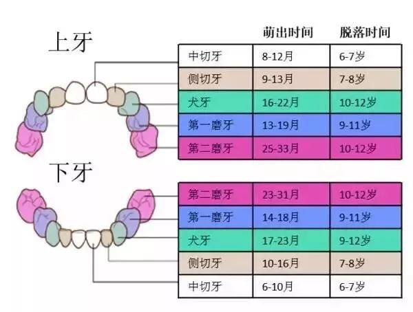 乳牙龋齿要治疗修补么？4岁女儿3次看牙，总结经验分享给你