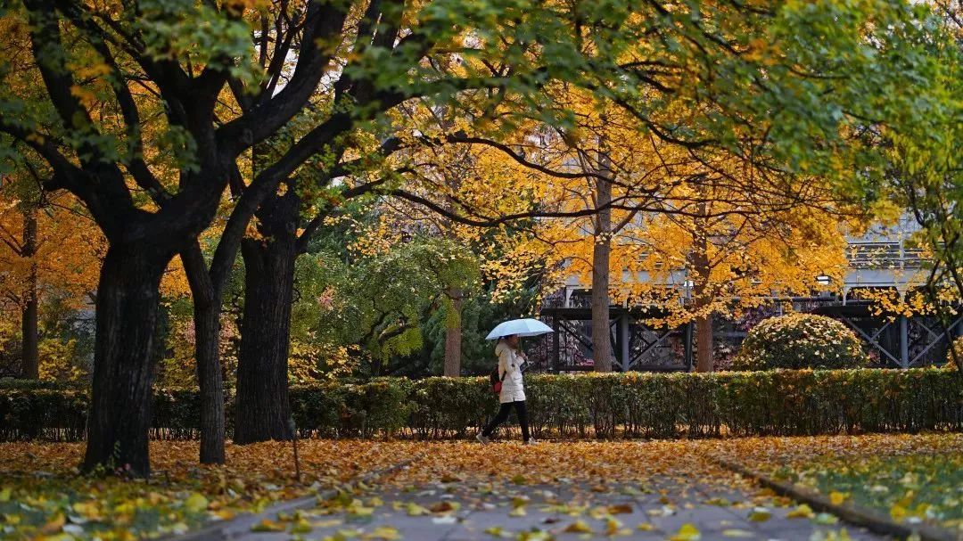 北京科技大学毕业生怎么样了？50%留北京，收入高于211平均水平