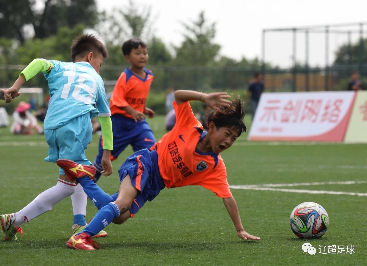 国足教练扬科维奇是实德哪个外援,大连实德扬科维奇与天津刘学宇