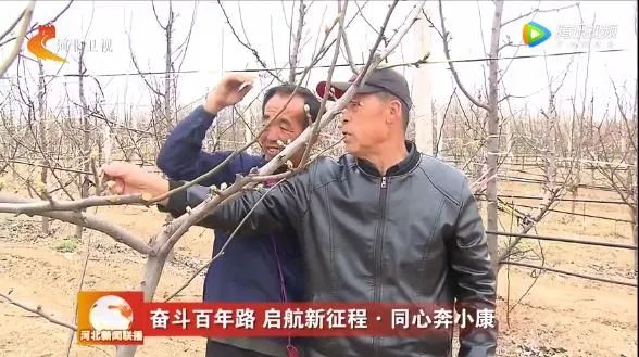 我为群众办实事怎样加强舆论宣传,我为群众办实事新媒体