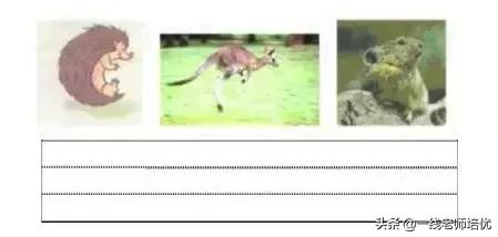 知识点+同步练习题部编版一年级语文上册拼音11ieüeer