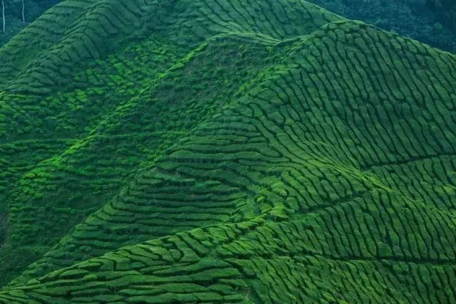 马来西亚旅行胜地,马来西亚最著名的旅游景点是什么