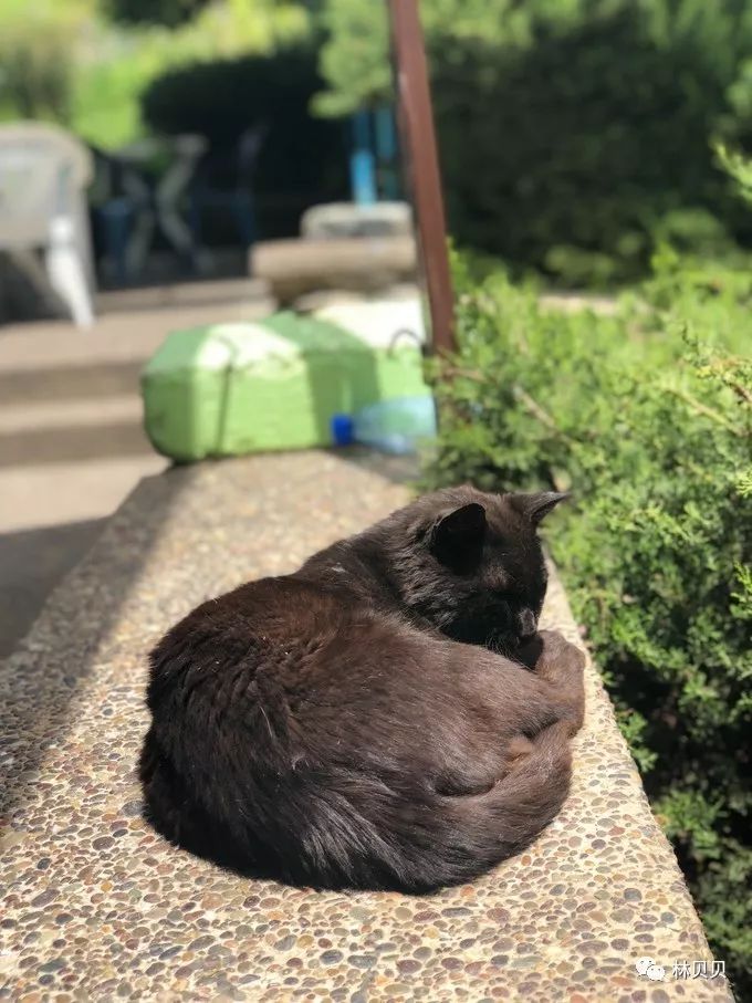 摩洛哥简单攻略,摩洛哥150天