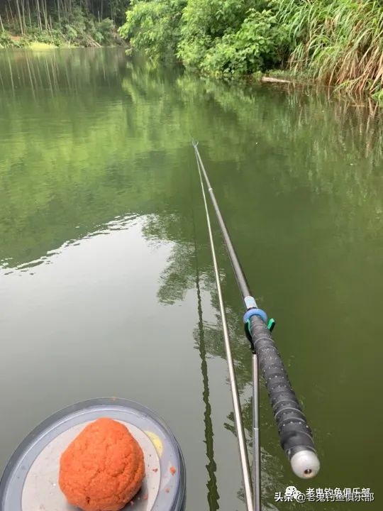 科学钓鱼评测老鬼速胜者鱼竿,老鬼速胜者水库