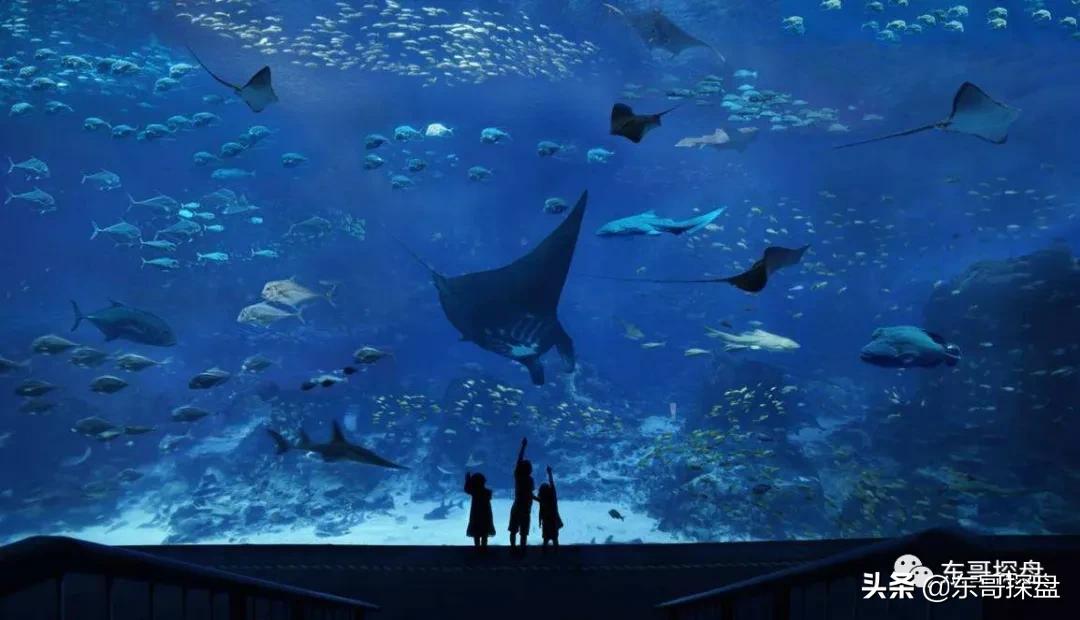 郑州世纪欢乐谷和马拉湾水上乐园,郑州海洋欢乐谷