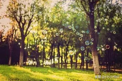 重庆公交车坠江事件小孩提前下车,重庆公交车坠江事件小学生自救