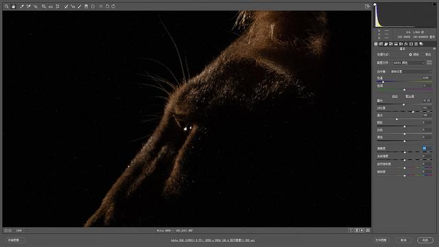 尼康d850完全摄影指南,尼康d850大变焦镜头推荐