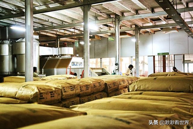 去斯里兰卡旅游攻略,1月去斯里兰卡旅游的最佳攻略