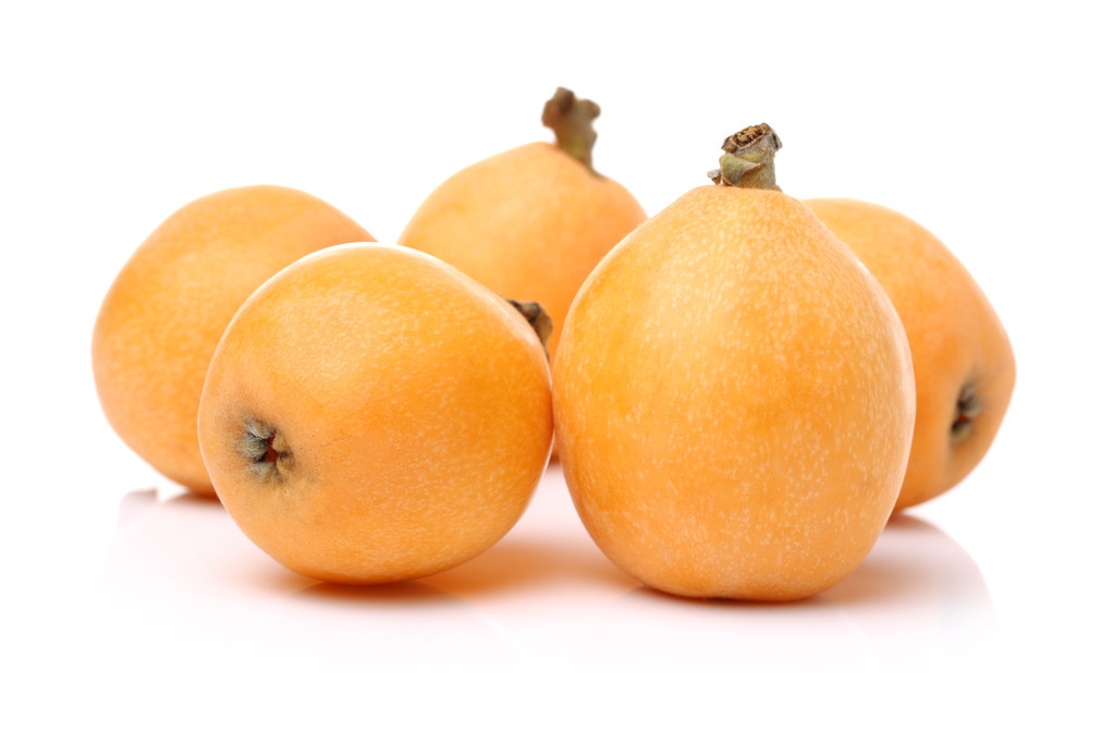 枇杷的哪个品种最好,大果枇杷