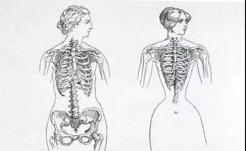 “内脏下垂、子宫脱落、漏尿…”：扒一扒你不知道的网红束腰