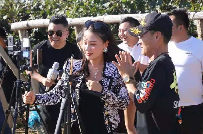 辽宁省省级电商示范基地,全国农村电商示范项目名单