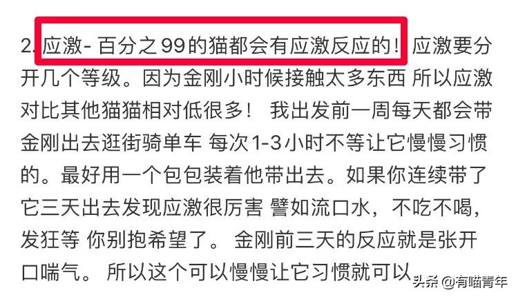 网红绑猫*藏西**骑行求关注,遭网友质疑回怼:比在家里刺激多了